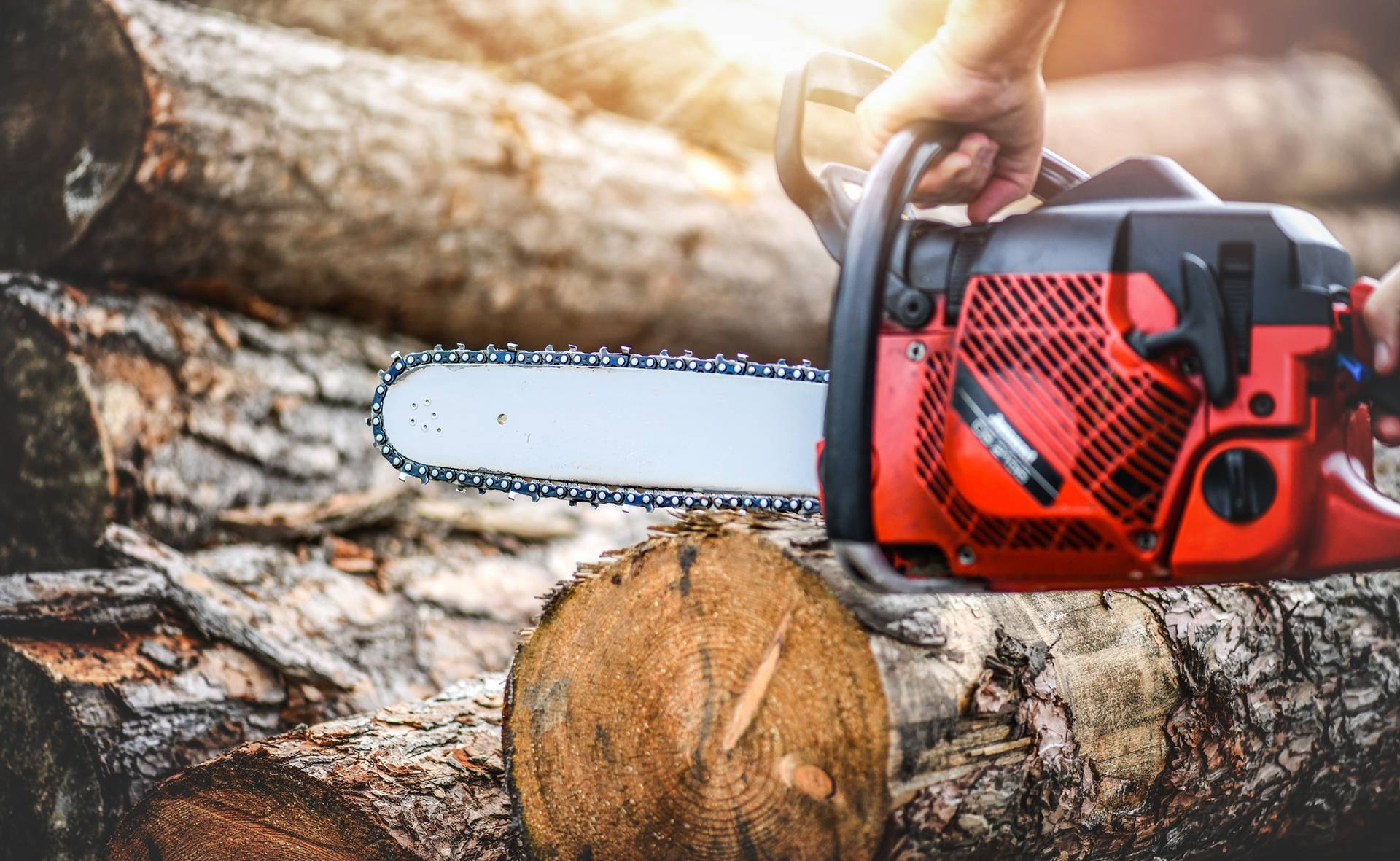 Leopold Gschneidtner 